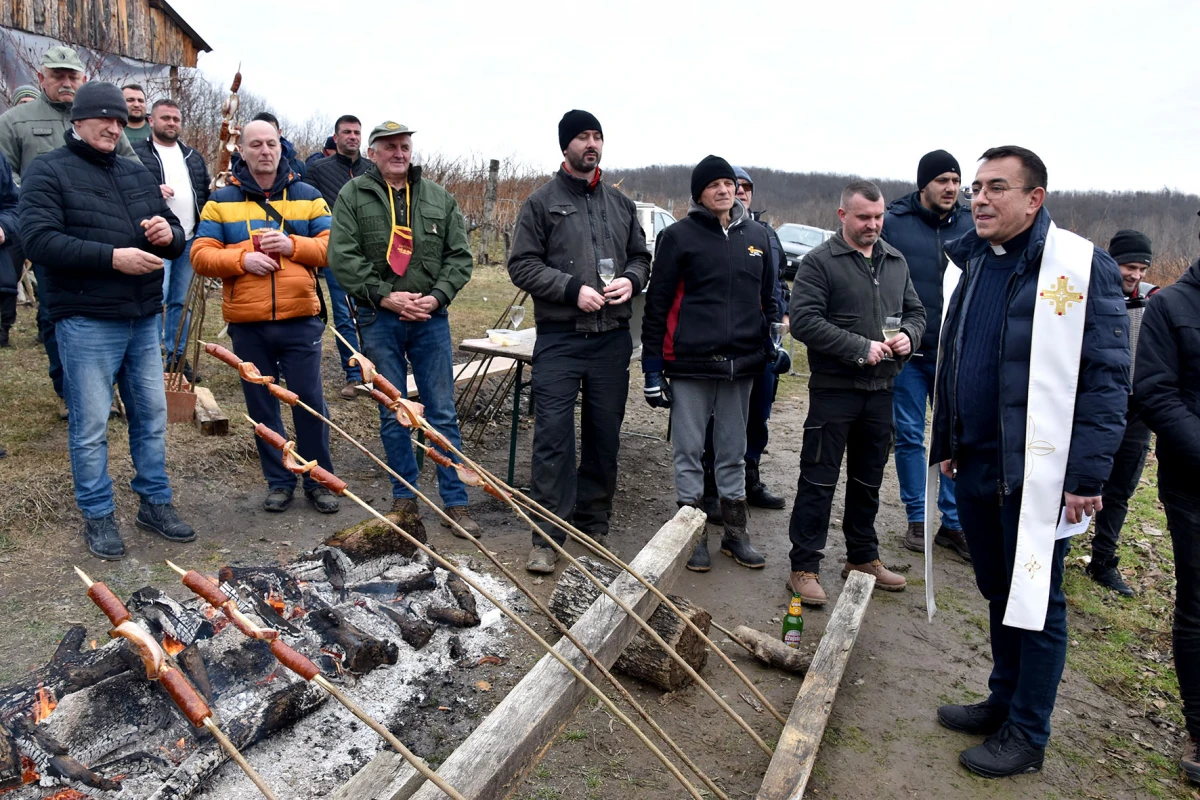 TRADICIJA NA VINKOMIRU: Proslava Vincelova u vinogradu obitelji Majstorović