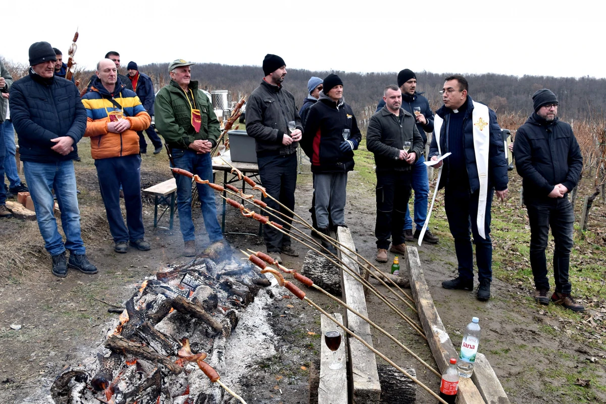 TRADICIJA NA VINKOMIRU: Proslava Vincelova u vinogradu obitelji Majstorović