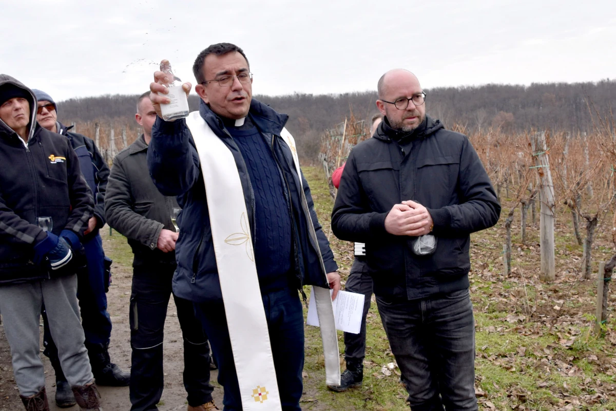 TRADICIJA NA VINKOMIRU: Proslava Vincelova u vinogradu obitelji Majstorović