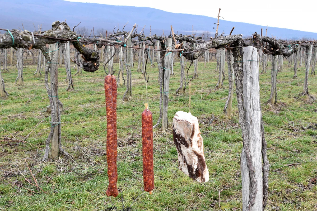 VINCEKOVO U LUKAČU: Od blagoslova na Jelkovcu do druženja kod vatrogasnog doma