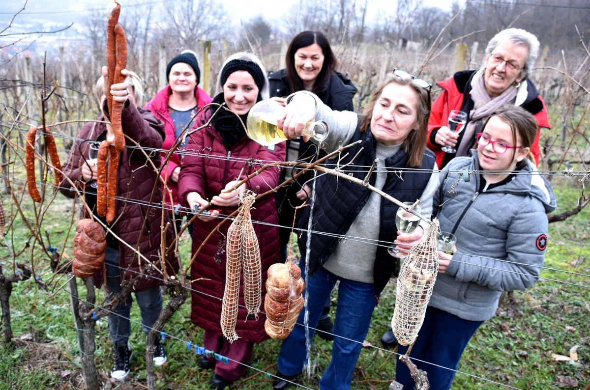 Prvi rez za rodnu godinu: Klaudija Mihaljević Ruža otvorila sezonu u vinogradu Vuković na Sokolovcu