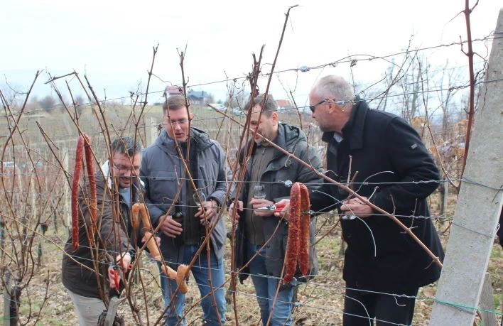 ’VINA MARKOTA’: Na Starcu proslavili Vincelovo uz blagoslov vinove loze, pjesmu i druženje