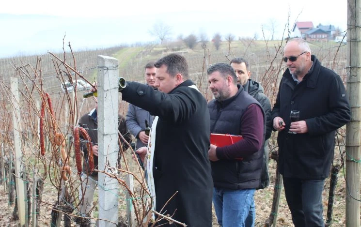 ’VINA MARKOTA’: Na Starcu proslavili Vincelovo uz blagoslov vinove loze, pjesmu i druženje