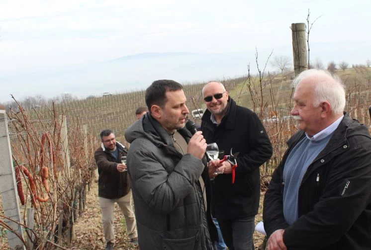 ’VINA MARKOTA’: Na Starcu proslavili Vincelovo uz blagoslov vinove loze, pjesmu i druženje