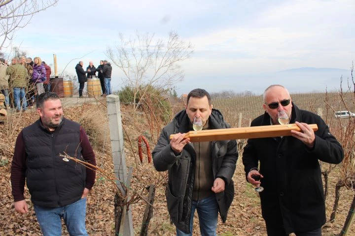 ’VINA MARKOTA’: Na Starcu proslavili Vincelovo uz blagoslov vinove loze, pjesmu i druženje