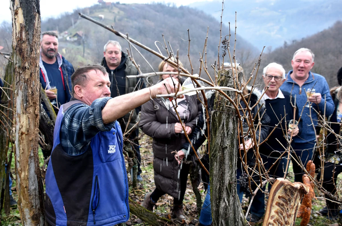 Vincelovo na krovu Požege: Branko Smolić proslavio početak vinogradarske godine na obroncima Sokolovca