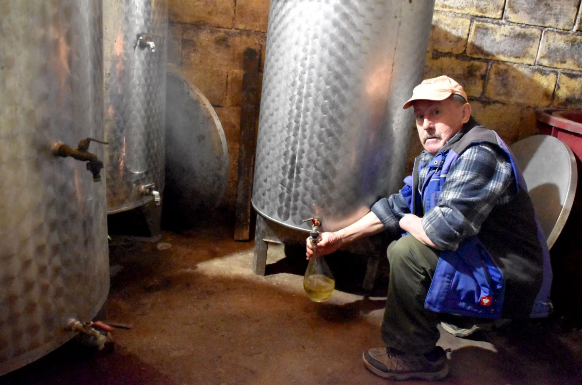 Vincelovo na krovu Požege: Branko Smolić proslavio početak vinogradarske godine na obroncima Sokolovca