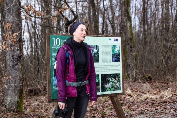 Koracima kroz vinograde i povijest Požeške gore: Zimski vincelovski pohod u Pleternici
