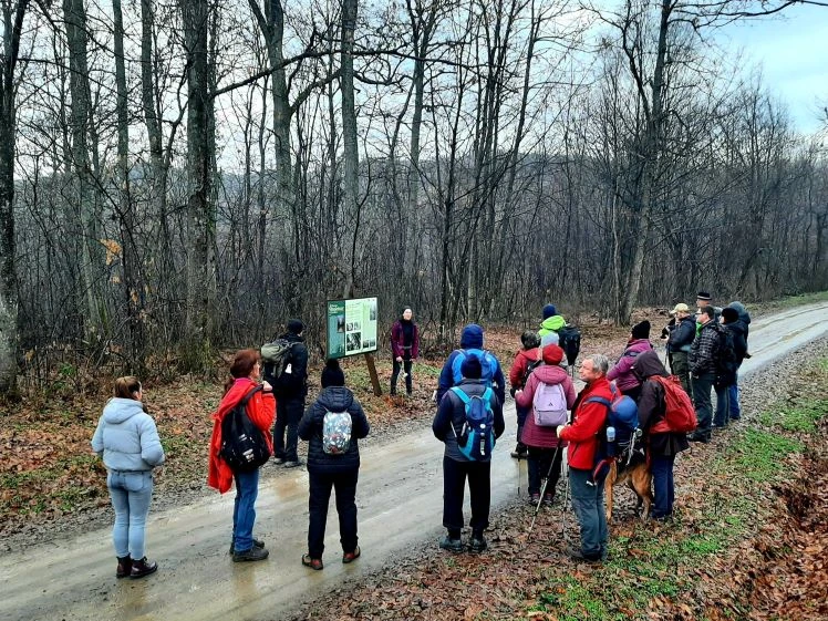 Koracima kroz vinograde i povijest Požeške gore: Zimski vincelovski pohod u Pleternici