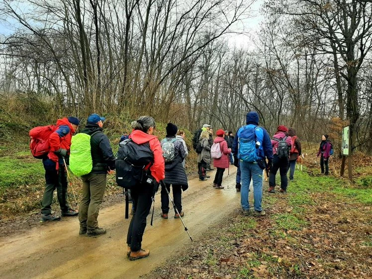 Koracima kroz vinograde i povijest Požeške gore: Zimski vincelovski pohod u Pleternici