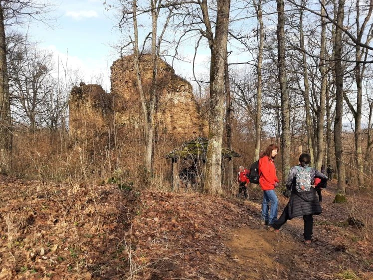 Koracima kroz vinograde i povijest Požeške gore: Zimski vincelovski pohod u Pleternici