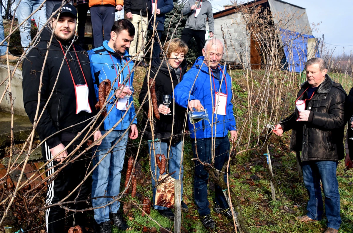 Vincelovo kod Ivanovića na Sokolovcu: DJ Pavka rezao lozu, a harmonikaš Dražen grijao atmosferu