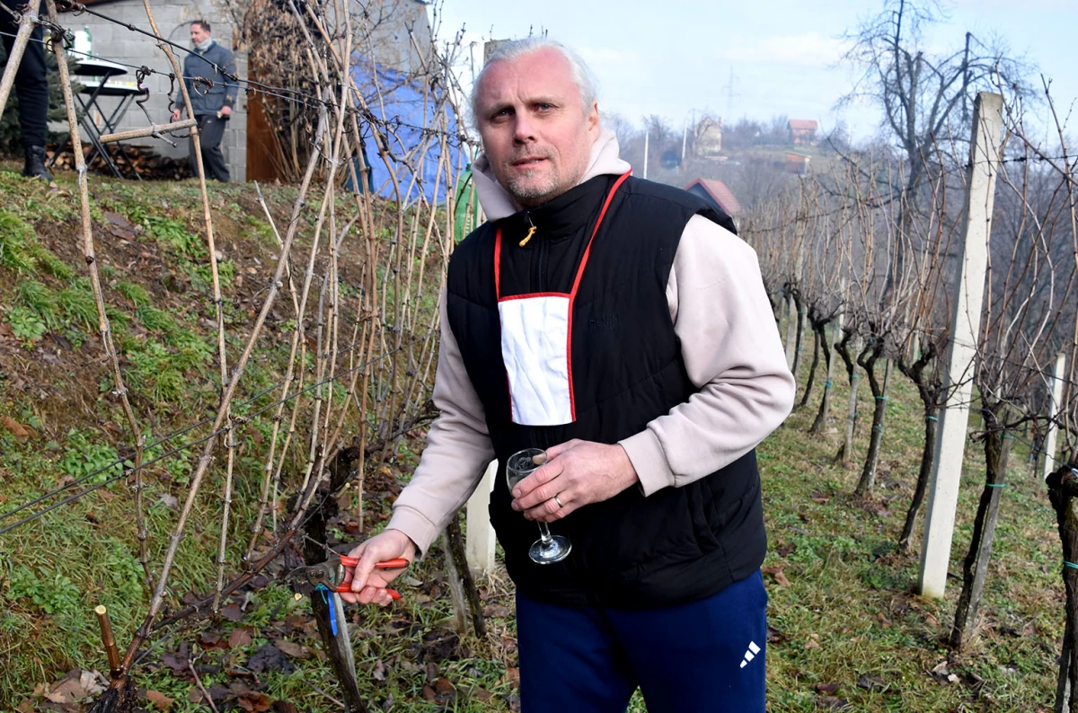 Vincelovo kod Ivanovića na Sokolovcu: DJ Pavka rezao lozu, a harmonikaš Dražen grijao atmosferu