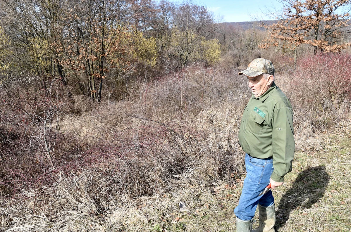 Šumarska duša u kutjevačkom trsu: Ante Miličević stvara vina u dosluhu s prirodom