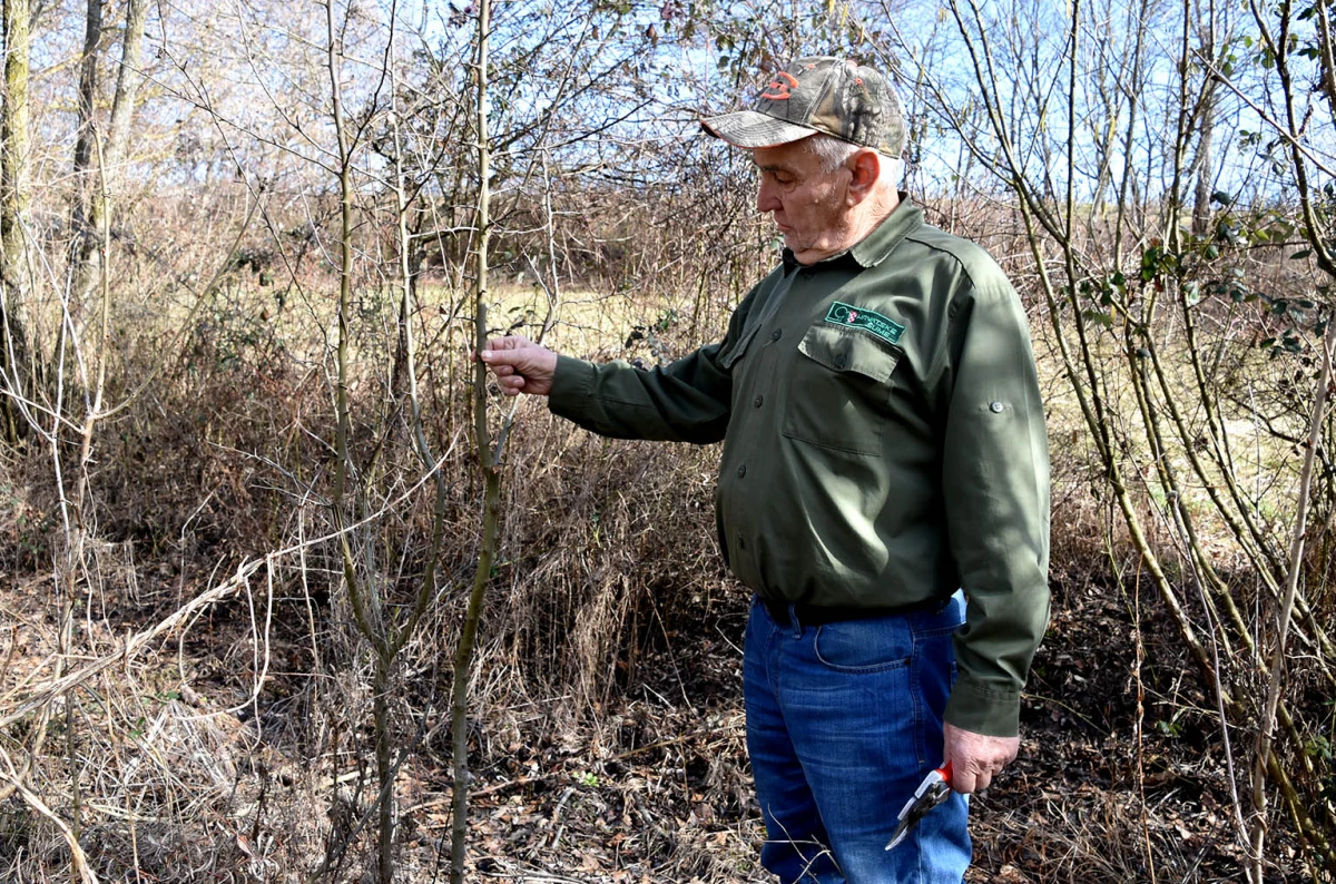 Šumarska duša u kutjevačkom trsu: Ante Miličević stvara vina u dosluhu s prirodom