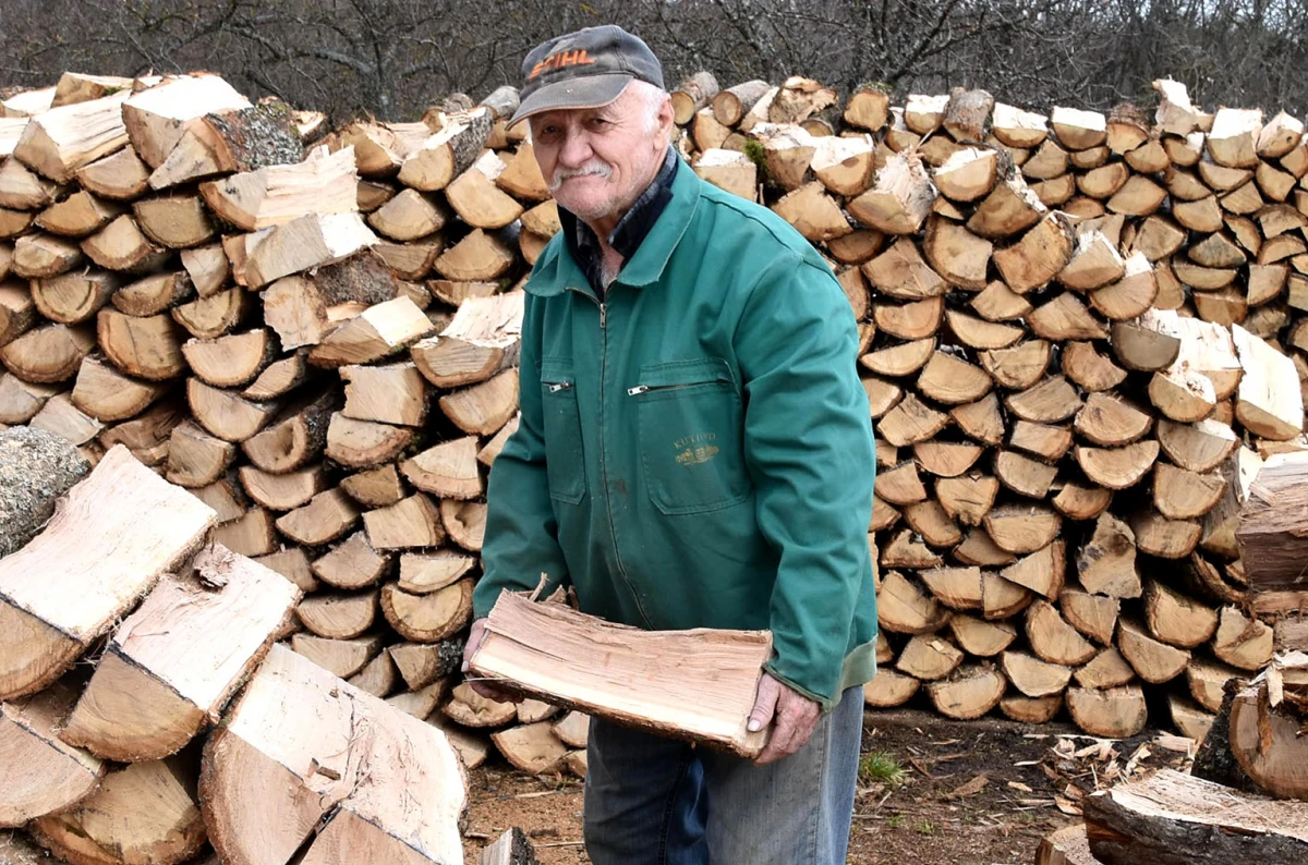 Zime se ne boji: Branko Guzmić iz Radovanaca već pripremio drva za sljedeću sezonu