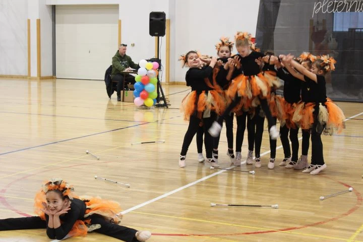 MAŠKARE U PLETERNICI: U prepunoj školskoj dvorani pripremljen zanimljiv pokladni program