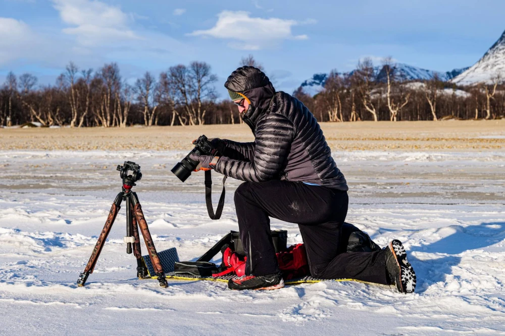 Rođendan u norveškim planinama: Hrvoje i Josip u potrazi za mošusnim govedom
