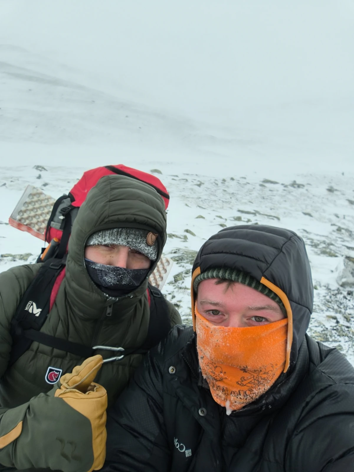Rođendan u norveškim planinama: Hrvoje i Josip u potrazi za mošusnim govedom