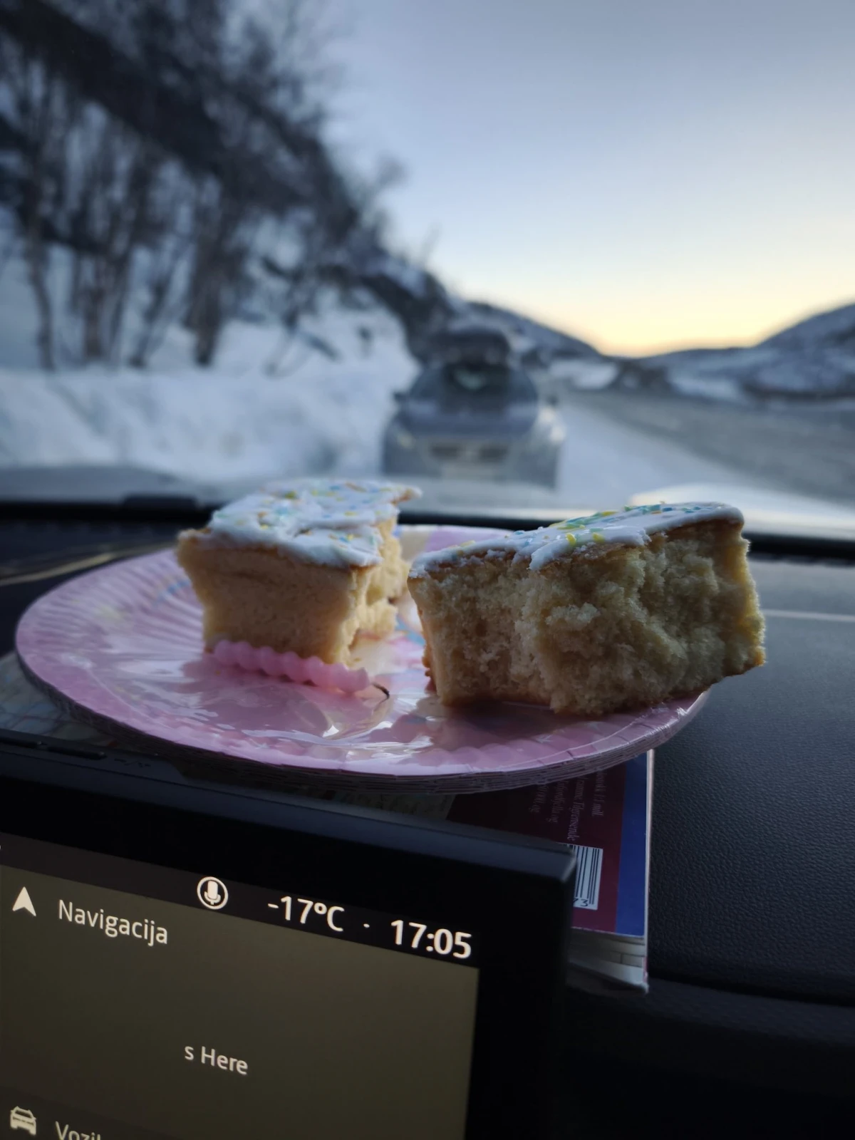 Rođendan u norveškim planinama: Hrvoje i Josip u potrazi za mošusnim govedom