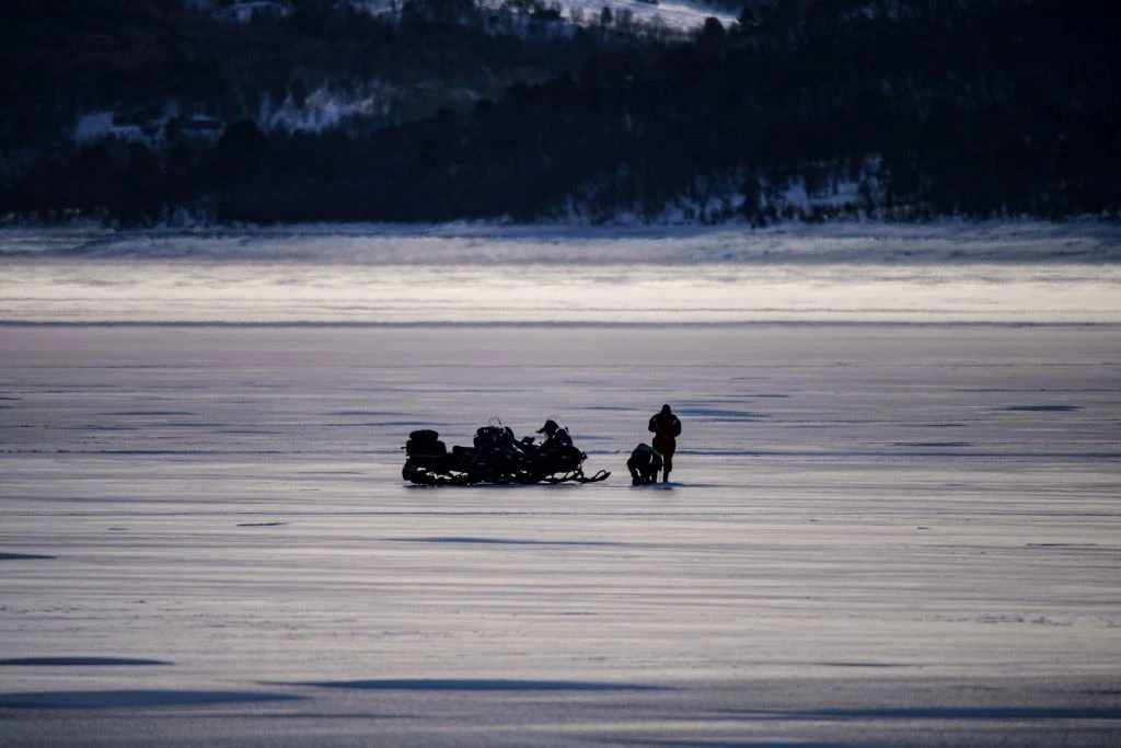 Rođendan u norveškim planinama: Hrvoje i Josip u potrazi za mošusnim govedom