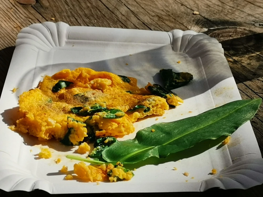 Dođite na Srimušijadu u Veliku: Očekuju vas planinarenje, dobro društvo i omlet sa srimušem