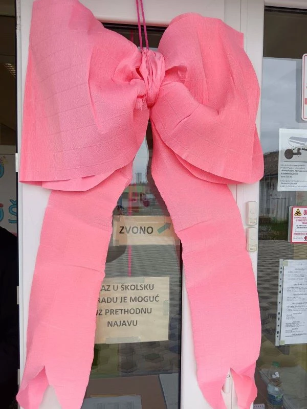 Ružičaste majice i snažne poruke protiv nasilja u čaglinskoj školi