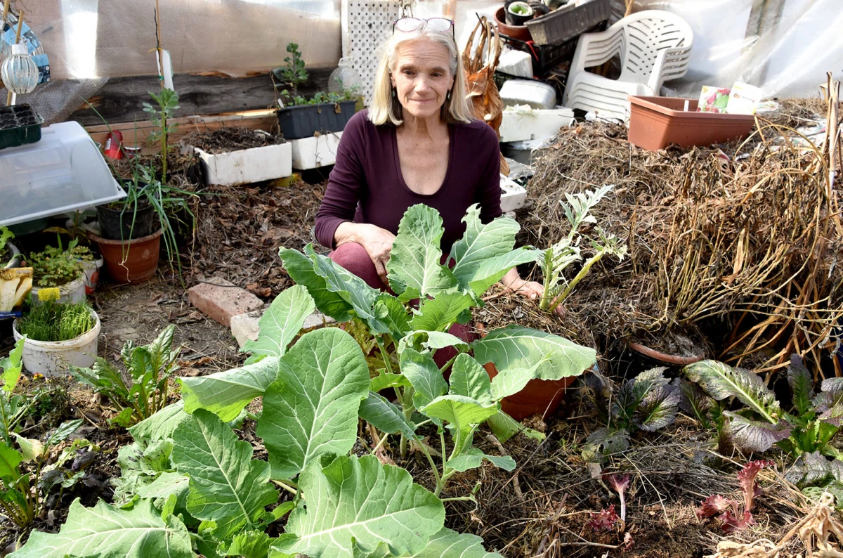 Valpanonija na Gospinom brdu: Švicarska snaja koja u Požegi čuva blago prirode