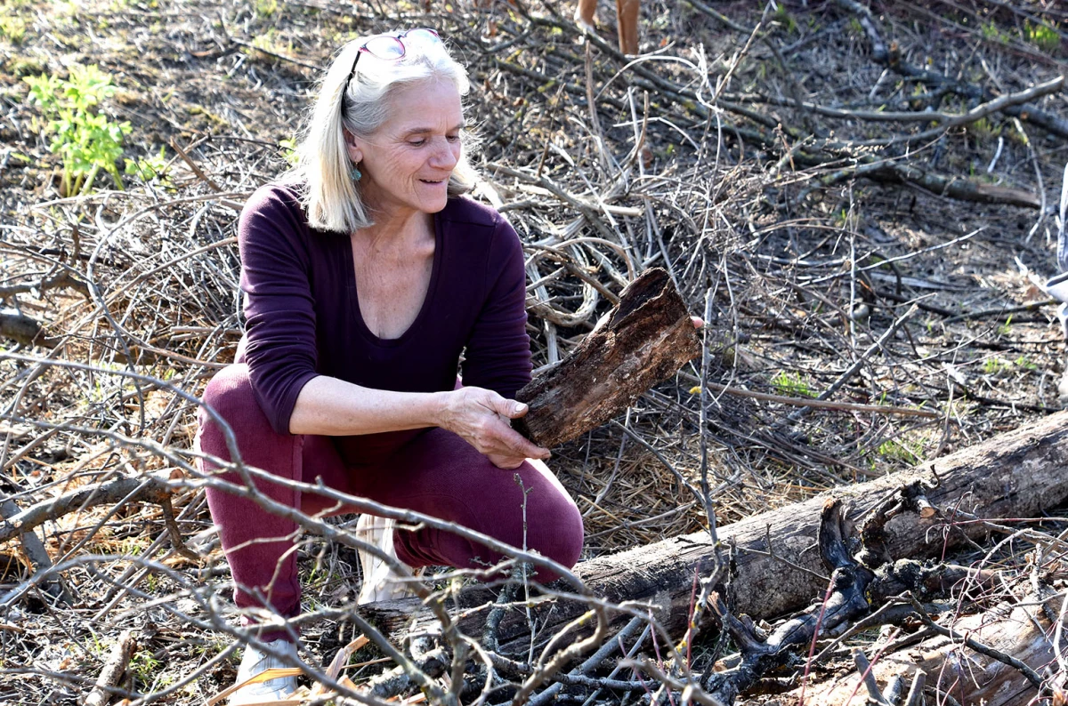 Valpanonija na Gospinom brdu: Švicarska snaja koja u Požegi čuva blago prirode