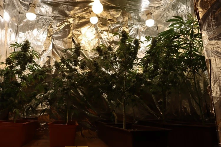 42-godišnjak osumnjičen za neovlaštenu proizvodnju i promet drogama