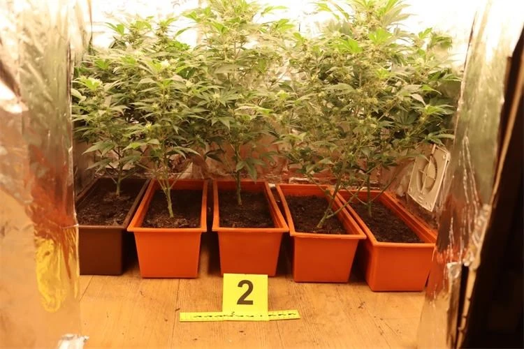 42-godišnjak osumnjičen za neovlaštenu proizvodnju i promet drogama