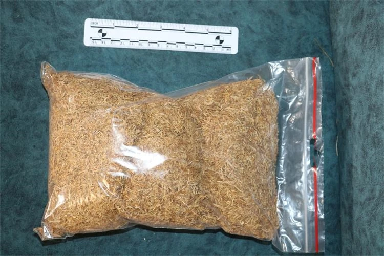 Policija otkrila laboratorij za uzgoj marihuane u Velikoj, pronađene biljke i droga