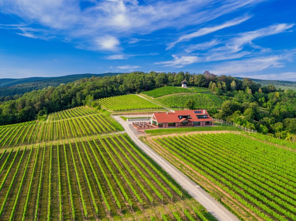 Slavonska kuća Vinkomir: Gastronomski dragulj kutjevačkog vinogorja uvršten u prestižni vodič Gault&Millau Croatia 2026