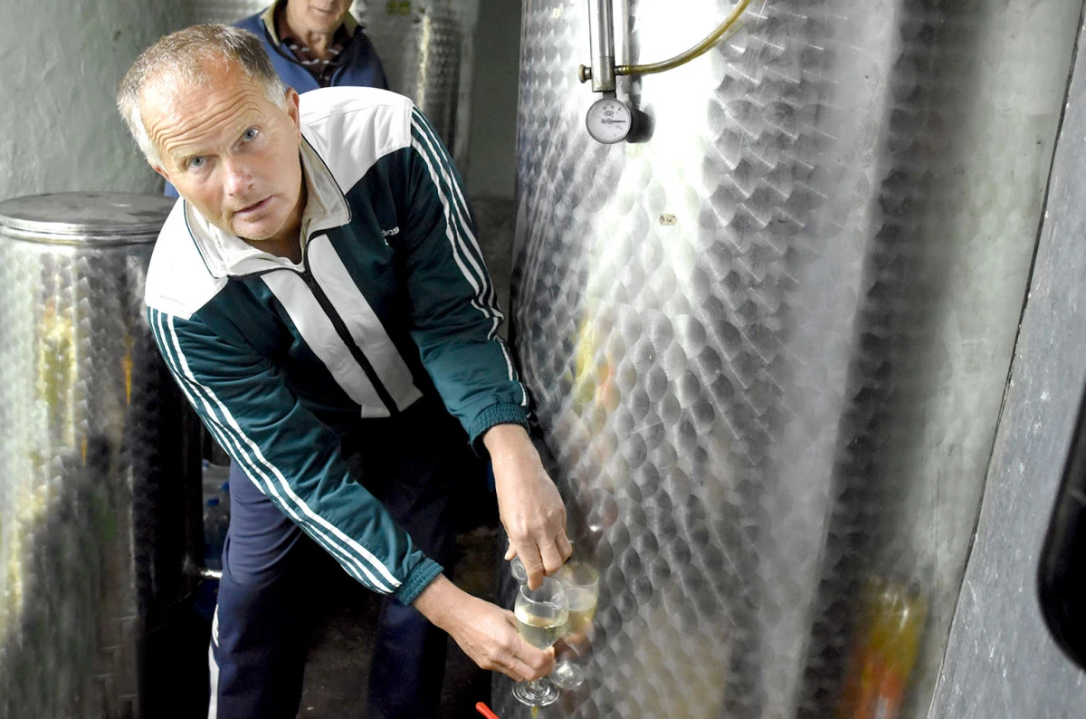 Planinar velikog srca i punih bačvi: Vinkova graševina osvaja srce i dušu