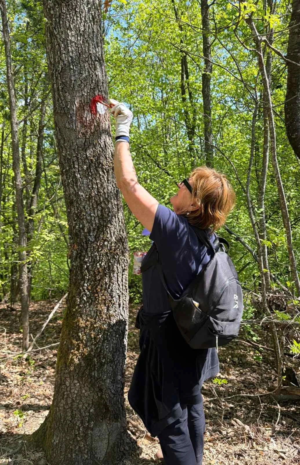 Markacisti Sokolovca obnovili dio staze na Požeškoj gori