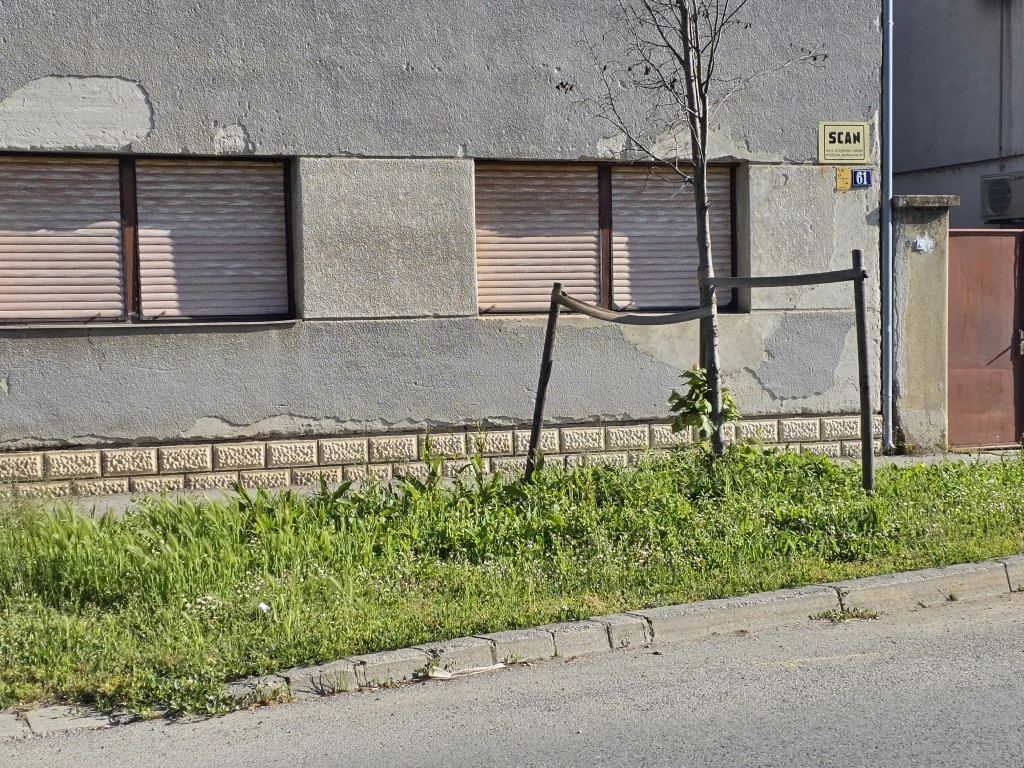 Nepokošena Dubrovačka ulica dočekuje tisuće mladih – slika koja ne priliči Požegi