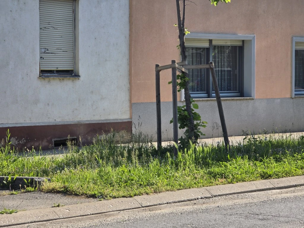 Nepokošena Dubrovačka ulica dočekuje tisuće mladih – slika koja ne priliči Požegi