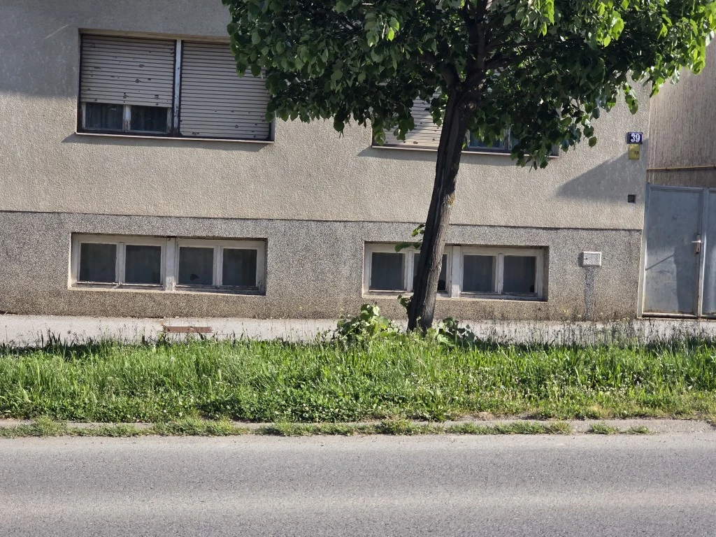 Nepokošena Dubrovačka ulica dočekuje tisuće mladih – slika koja ne priliči Požegi