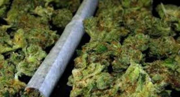 SB Online | Oko 23.30 sati, policajci su kod 21-godišnjaka pronašli 20 grama marihuane