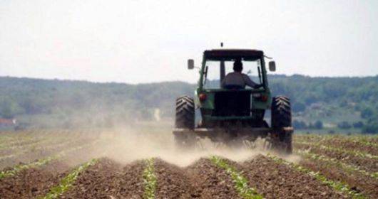SB Online | Za opstanak istočne Hrvatske, ključna je poljoprivreda i proizvodnja hrane