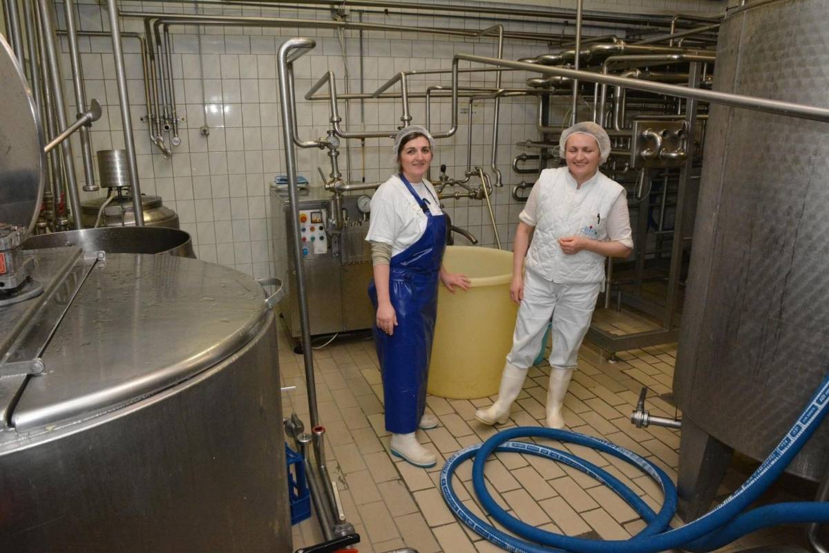 SB Online | Cijena BiZ mljekare smanjena za 75%, sada se može kupiti za 78 tisuća kuna