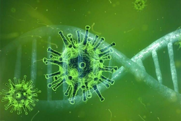 SB Online | U protekla 24 sata zabilježeno je 135 novih slučajeva zaraze koronavirusom u RH , 26 pacijenata na respiratoru